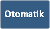 Otomatik